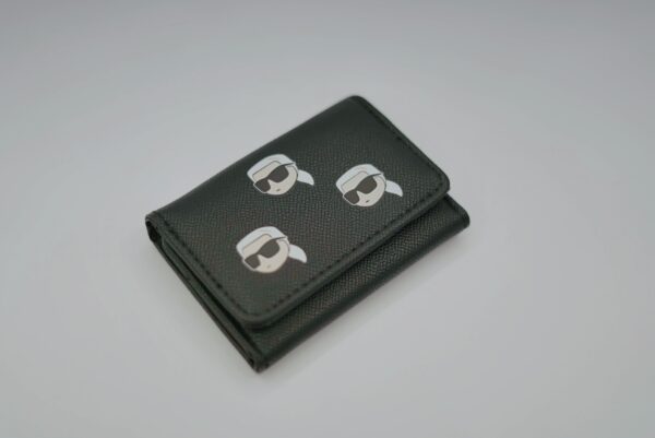 KARL K253 - Image 2